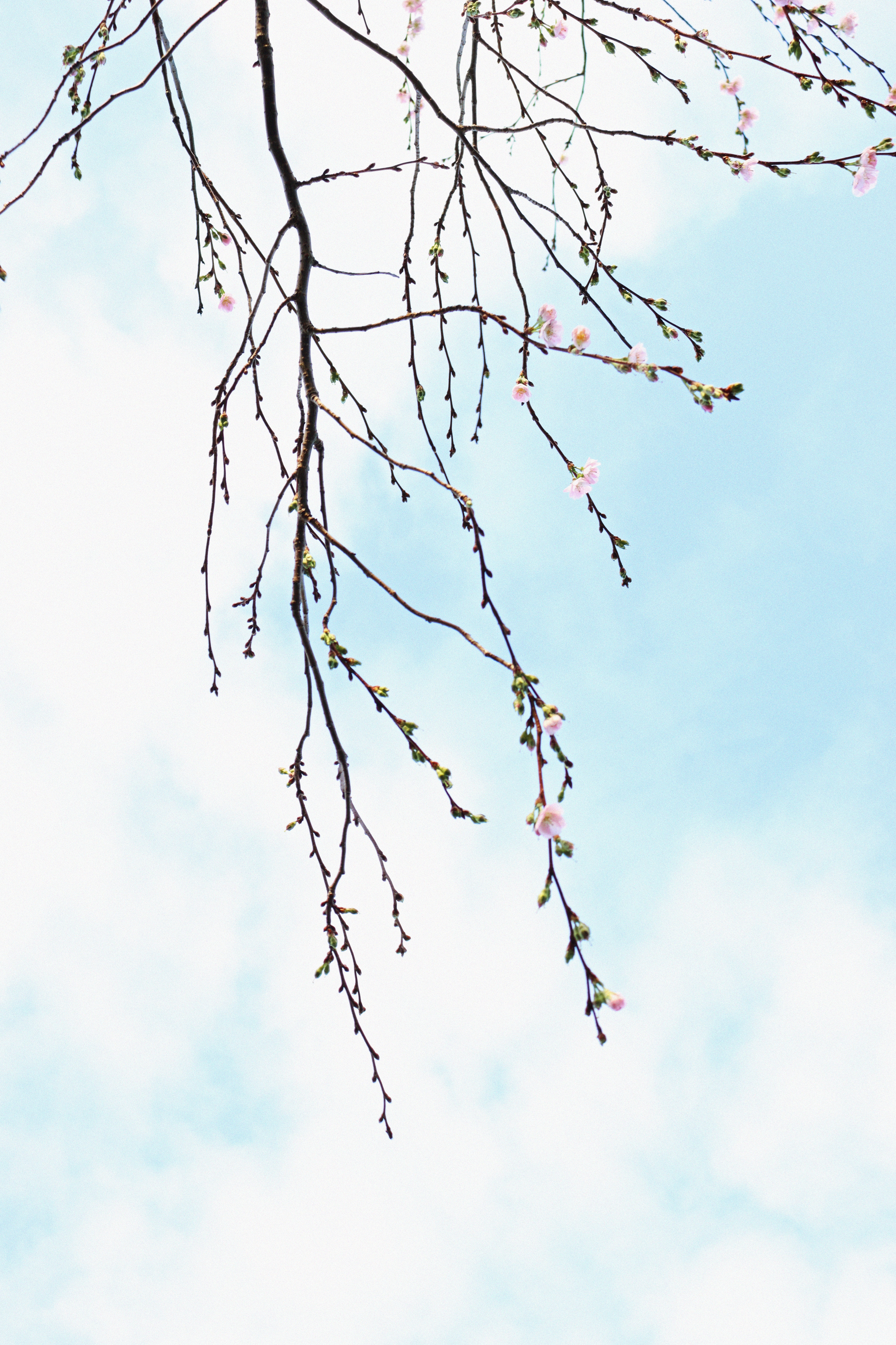 客户拿了货一直拖欠货款怎么办,客户拖欠货款怎么起诉追讨货款