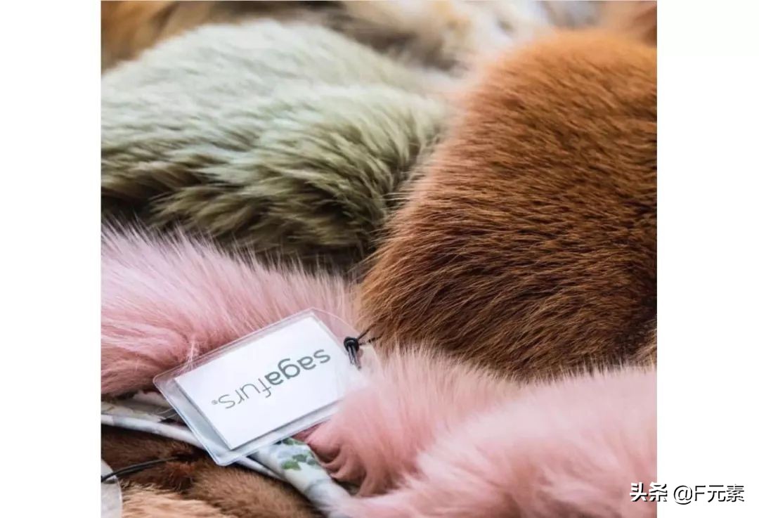 世家皮草,世家皮草再启航