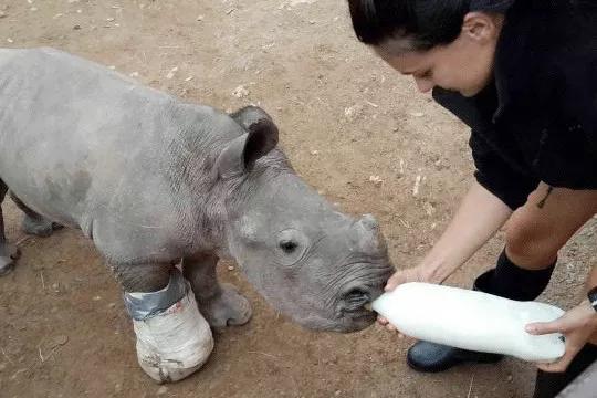 只为一串佛珠，他活剥了我妈的皮：人心有多可怕，你根本想象不到