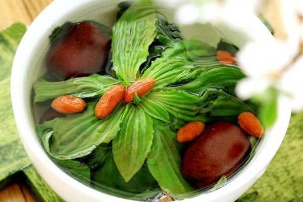 路边的野草是个宝,不起眼的野草车前草