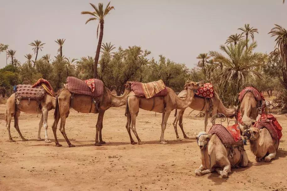 摩洛哥风格拍照大片,摩洛哥拍照写真