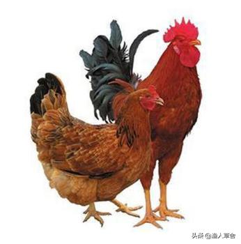 辽宁省大连知名农产品,辽宁省农产品地理标志产品都有啥