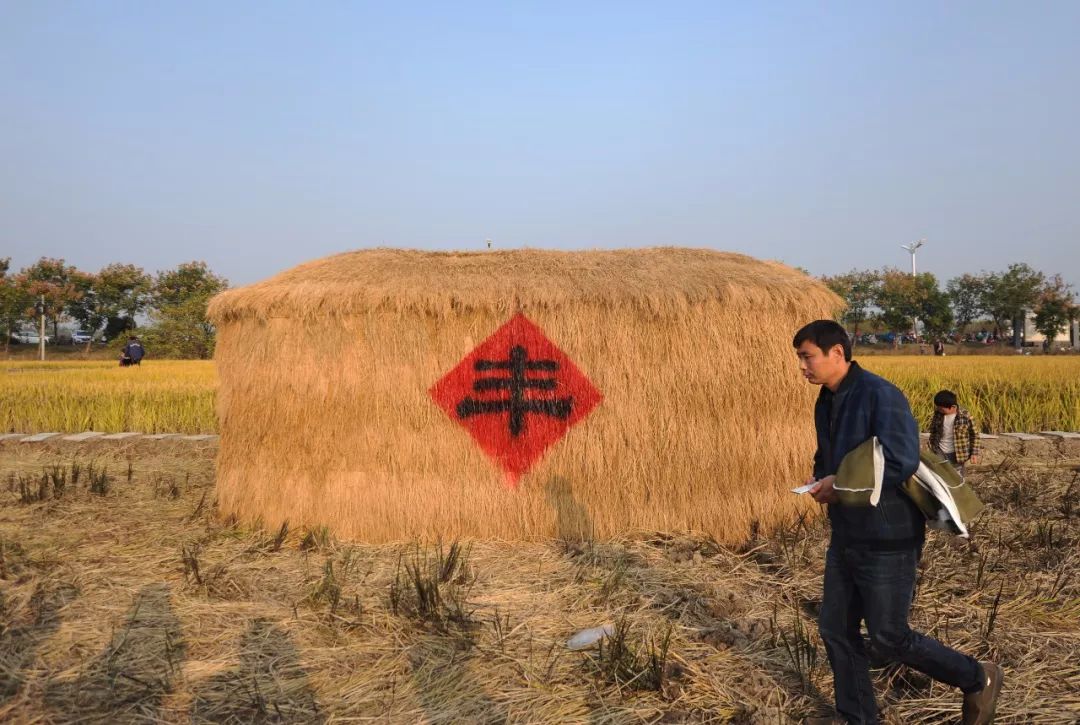 农产品盈利技巧,农产品怎么做才赚钱快