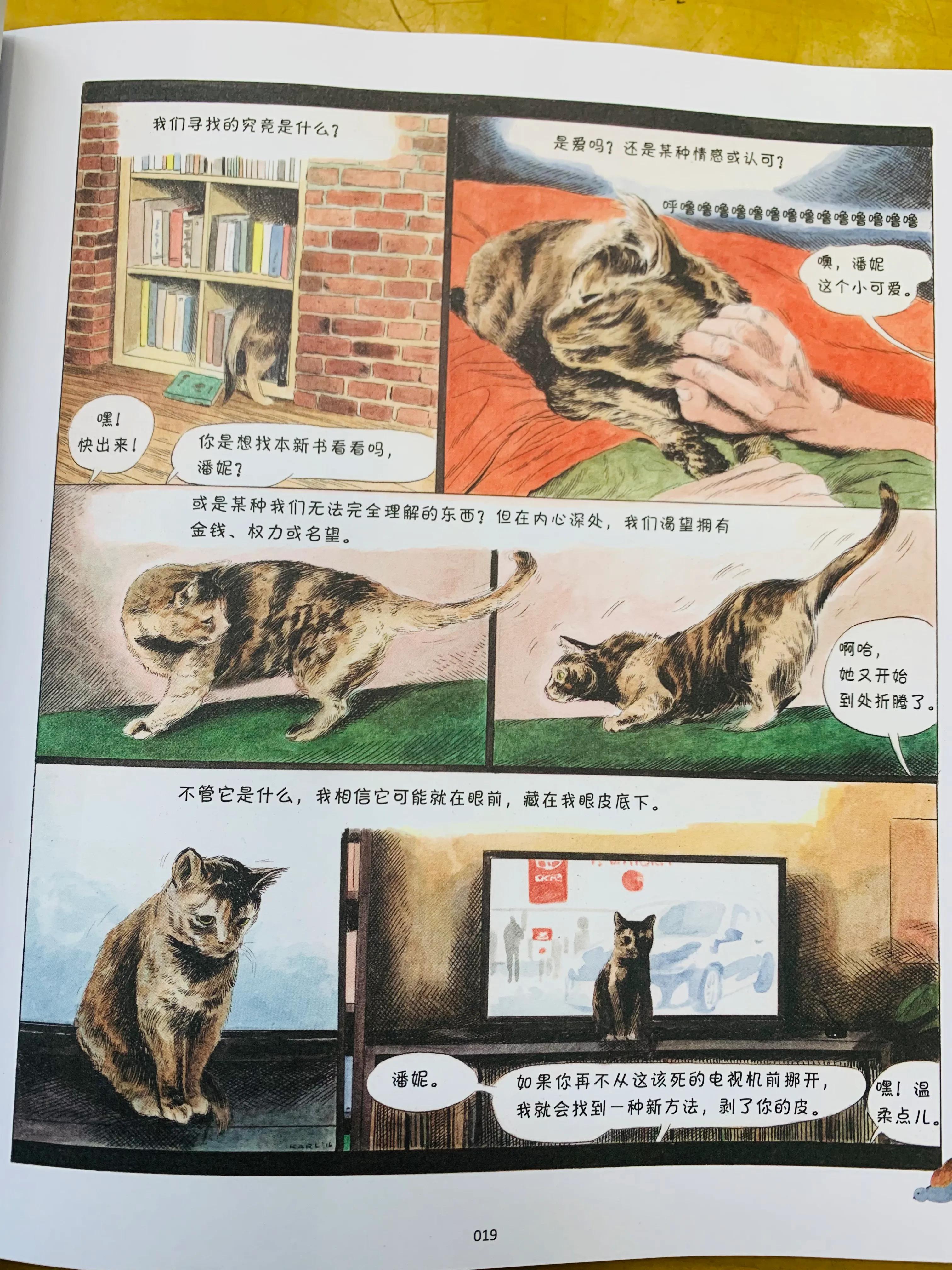 猫咪漫画治愈系短片,猫咪的搞笑漫画