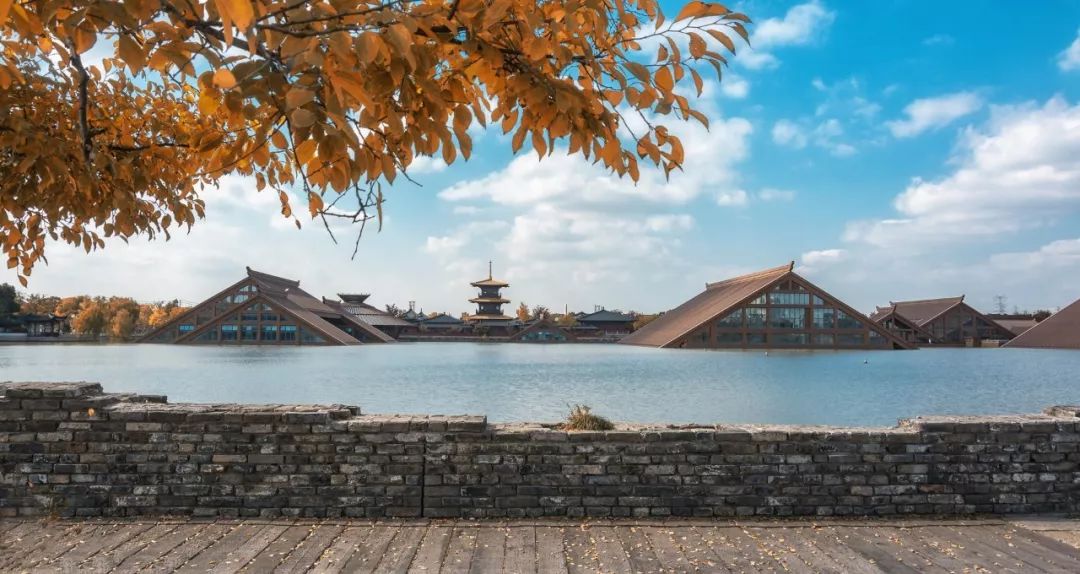 上海人游上海，这51个地方才不“踩雷”！