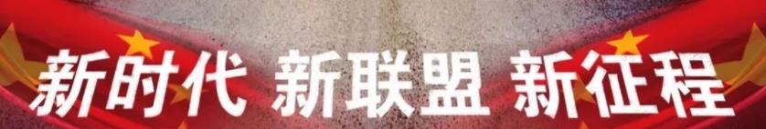 丛台活分子篮球比赛,丛台酒活分子v8整箱