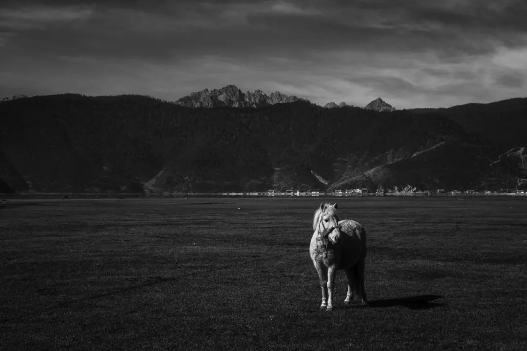 调色学不好怎么办,调色无思路