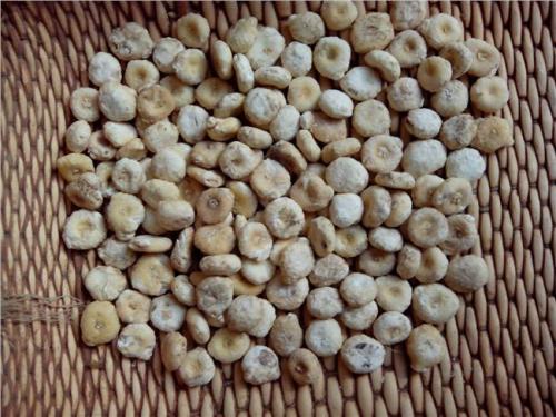 痛风缓解期降尿酸中药处方,痛风发作时吃降尿酸中药有用吗