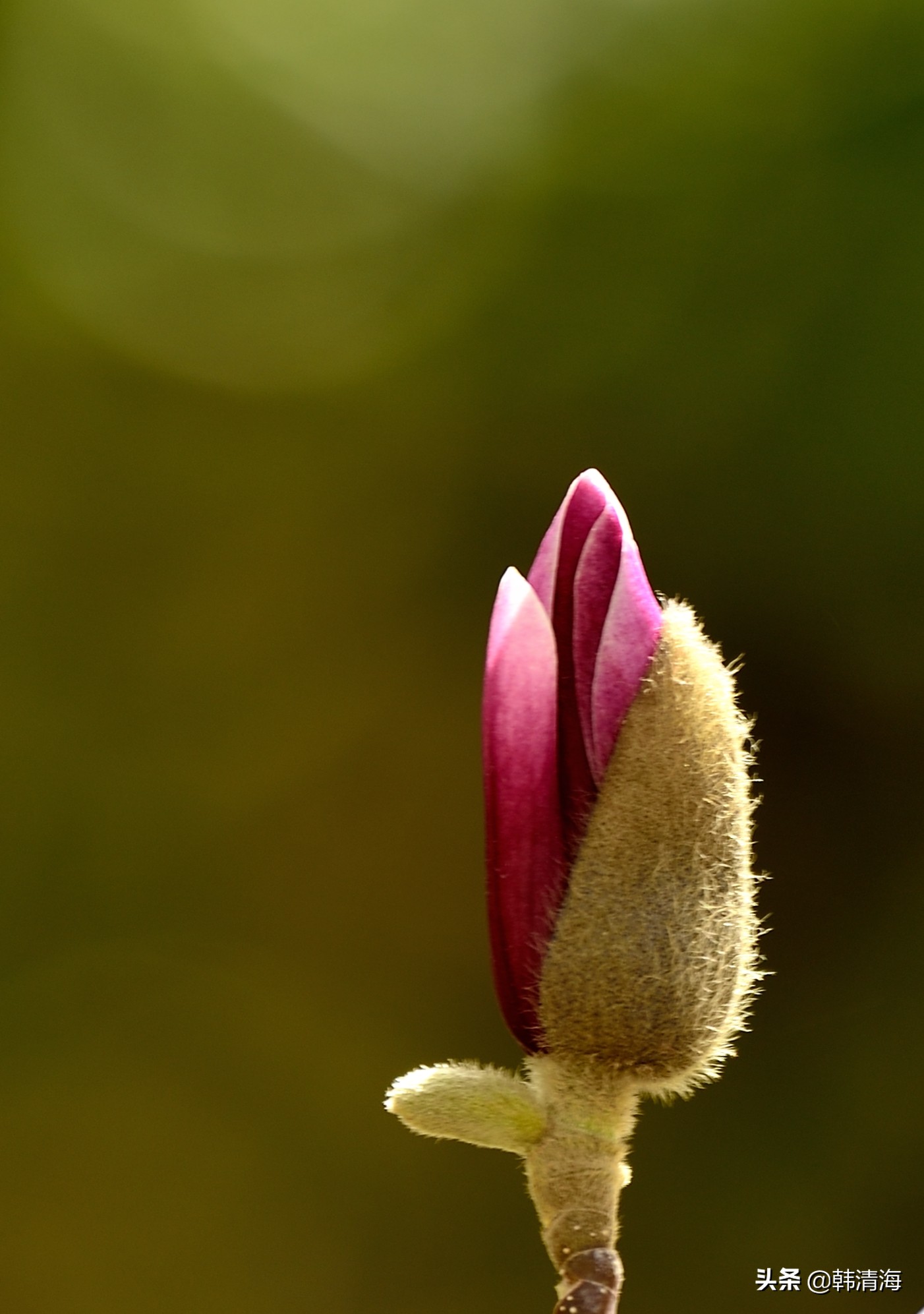 天津南开水畔花园洋房,天津南开区水畔花园