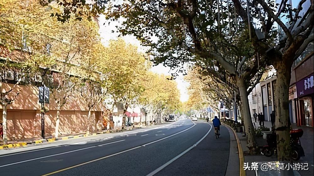 迷走上海山阴路，感受老上海的情怀，被时光遗忘的老马路