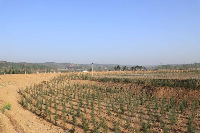 浠ユ按娑﹀煄,娑﹀煄娌抽亾娌荤悊宸ョ▼