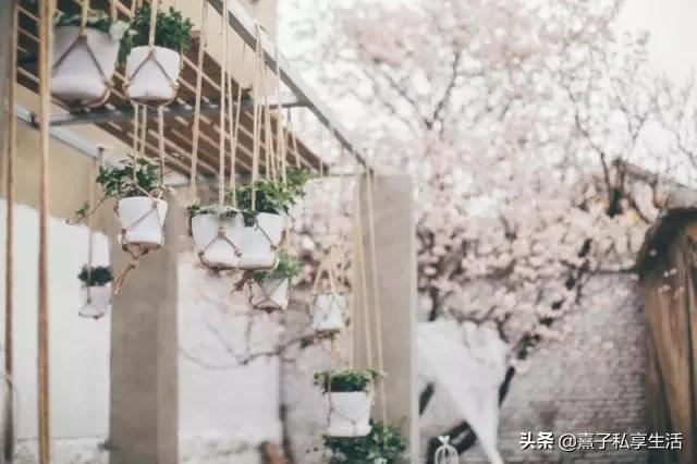 怎么打造低成本花园,怎么用几十元造花园