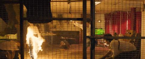 电影这么拍，港片不会死