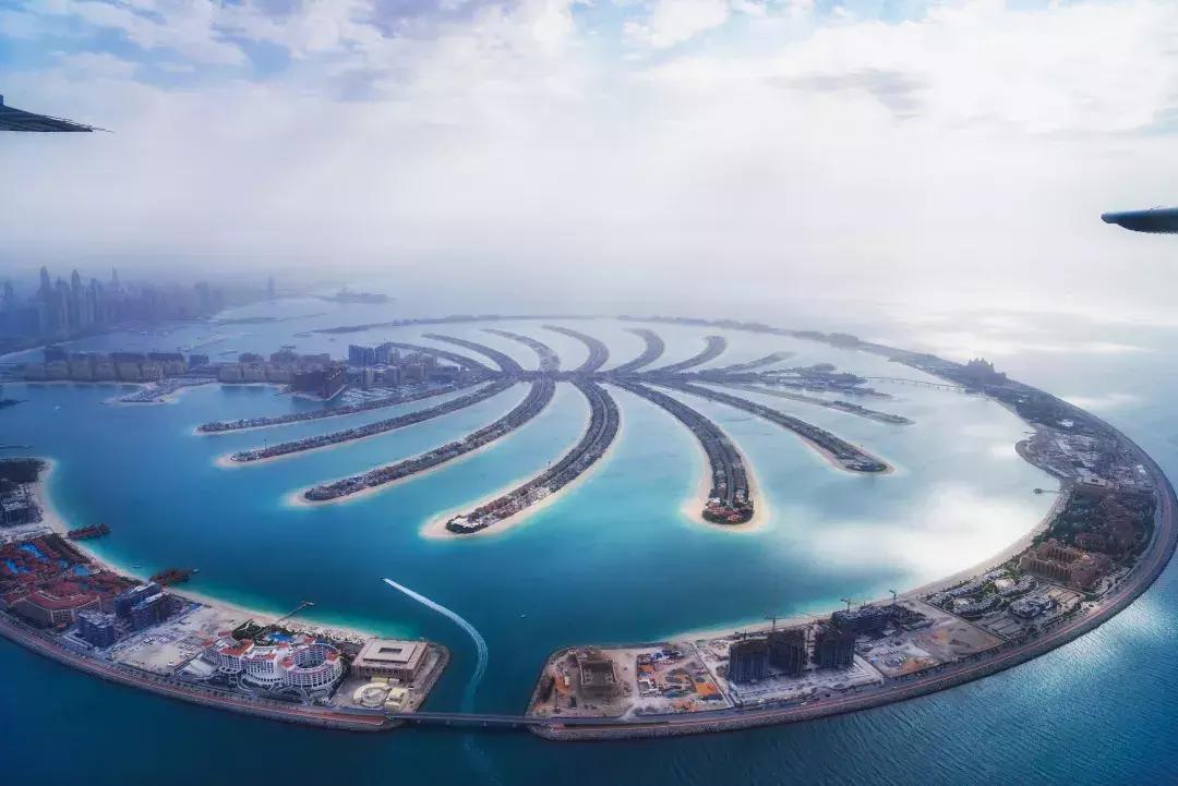 迪拜有钱女人的生活,迪拜土豪为什么有钱