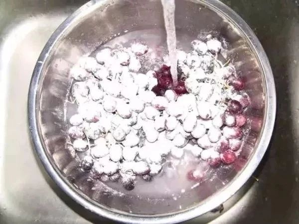 杨梅每一个大概有多少虫子,每颗杨梅都是精挑细选