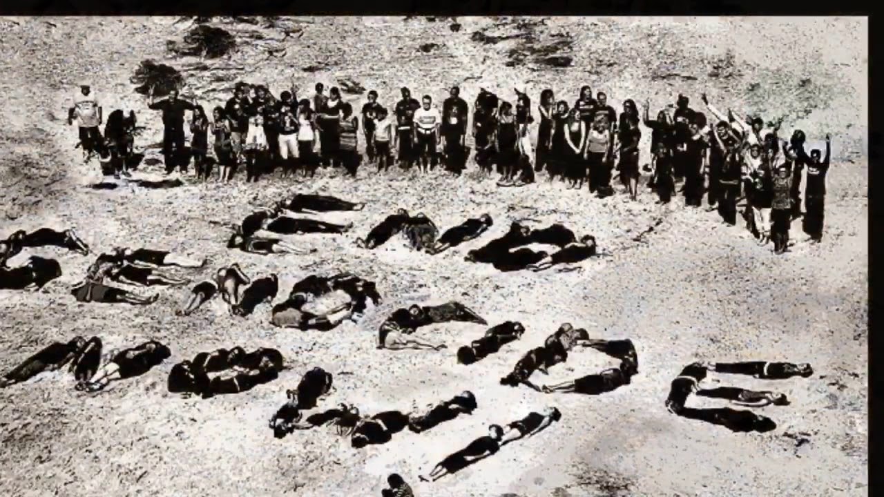 ngo在中国的代理人,ngo在哪里可以参加