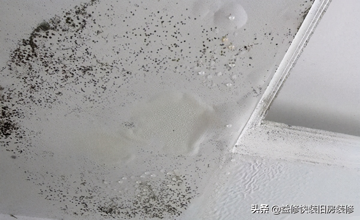 吊顶发霉的解决办法,吊顶发霉了有没有办法根治呢