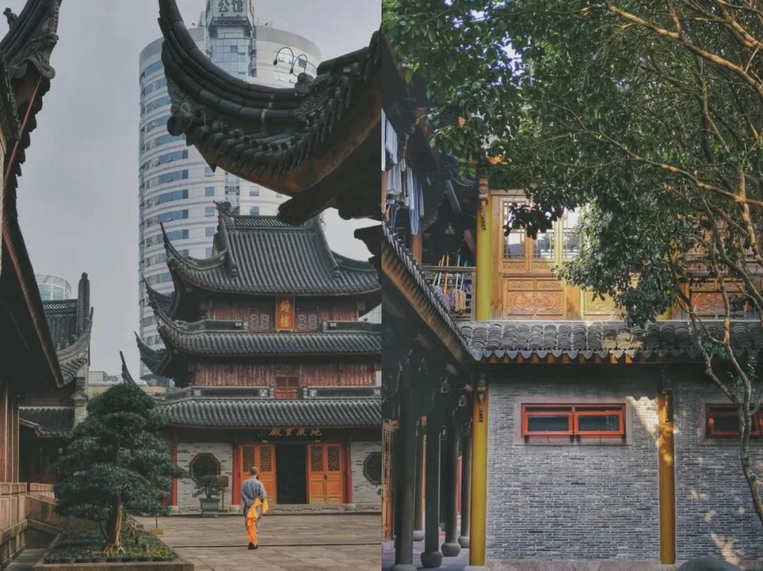 这该死的魅力原版搞笑,这该死的魅力完整版