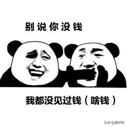 铲屎官减肥瘦身,吐毛球的铲屎官