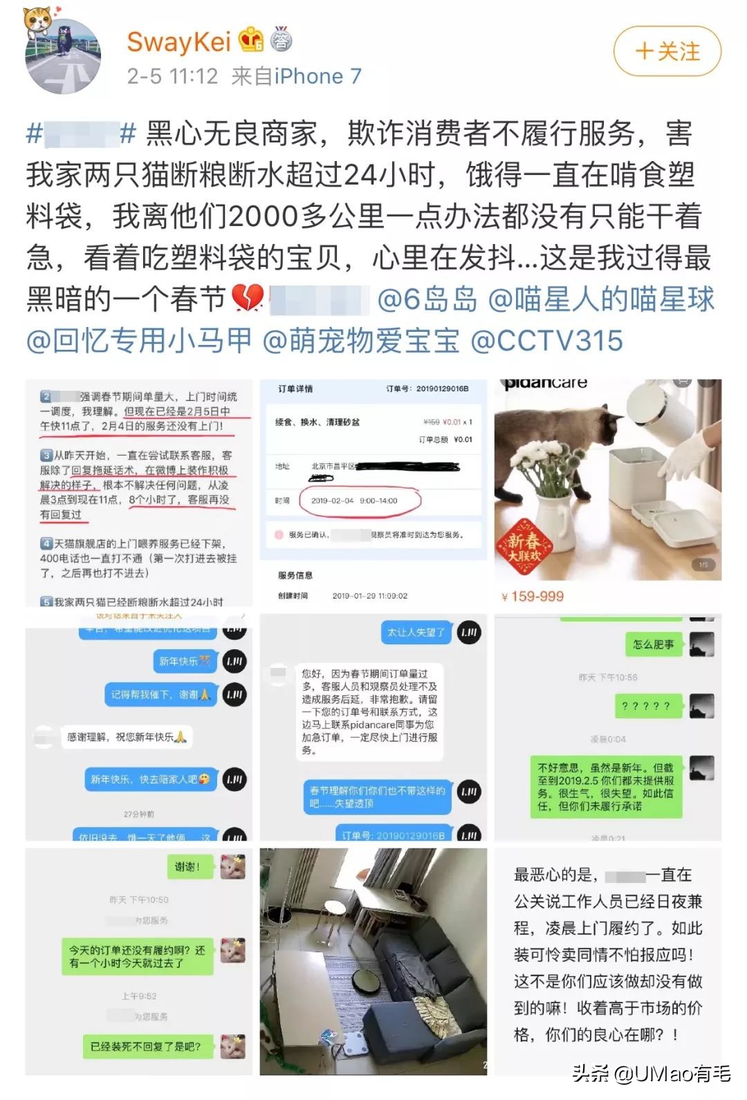 上门喂猫到底怎么样,上门喂猫一般多久一次
