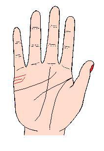 看手相可以预测什么,手相能预测考试吗