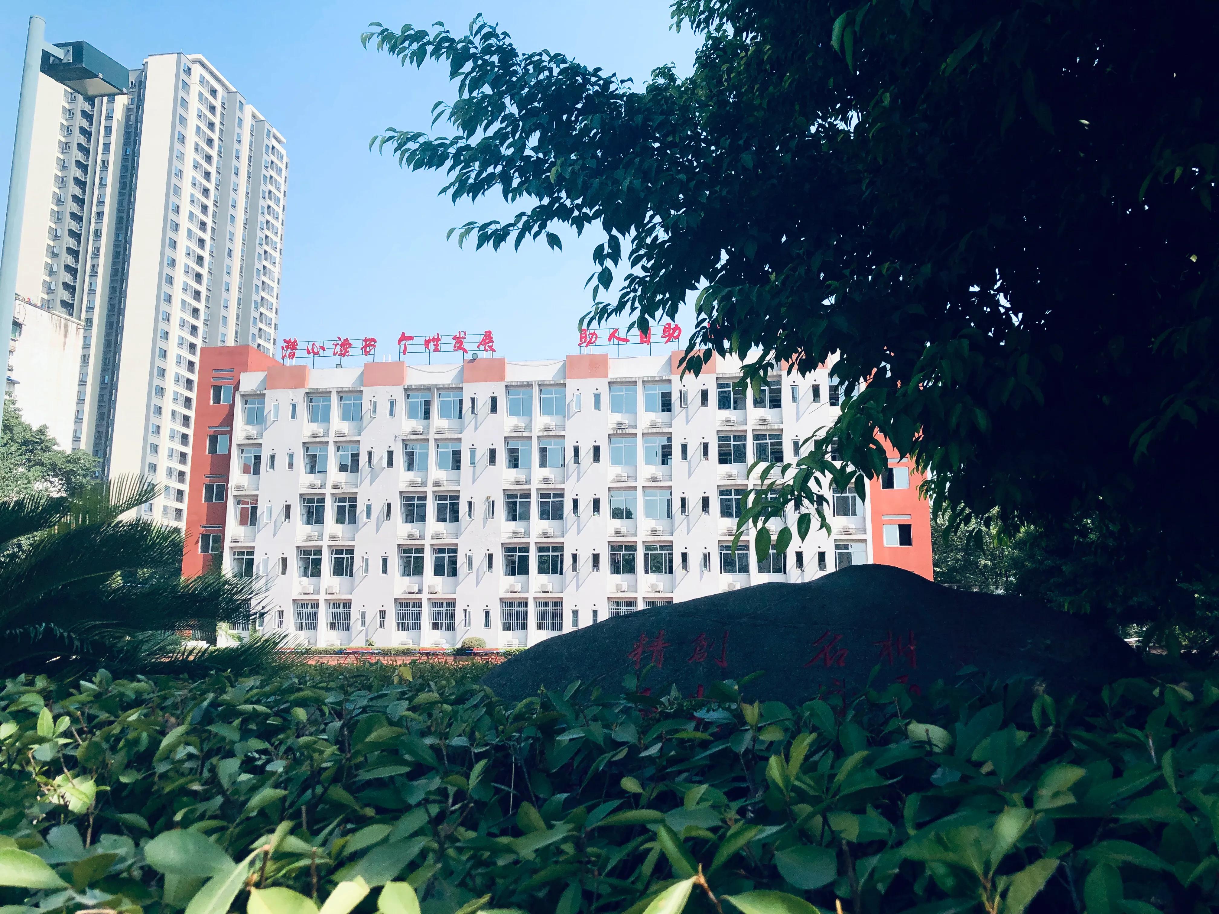 婕閲嶅簡瑙嗛,婕閲嶅簡