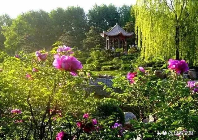 长春发布重要通知情况,长春面向社会公开招聘