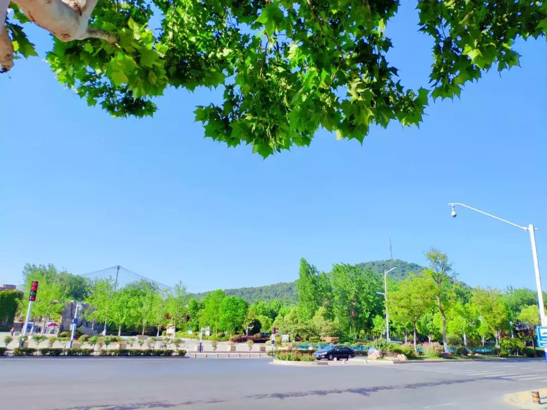 合肥蜀南庭苑新闻,合肥蜀南庭苑是拆迁小区吗