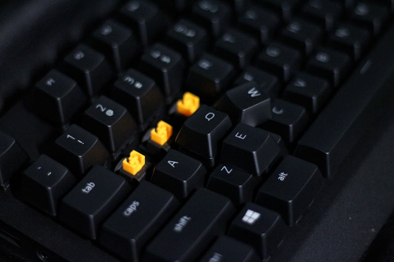 黑寡妇蜘蛛幻彩版和标准版,黑寡妇蜘蛛幻彩版灯光