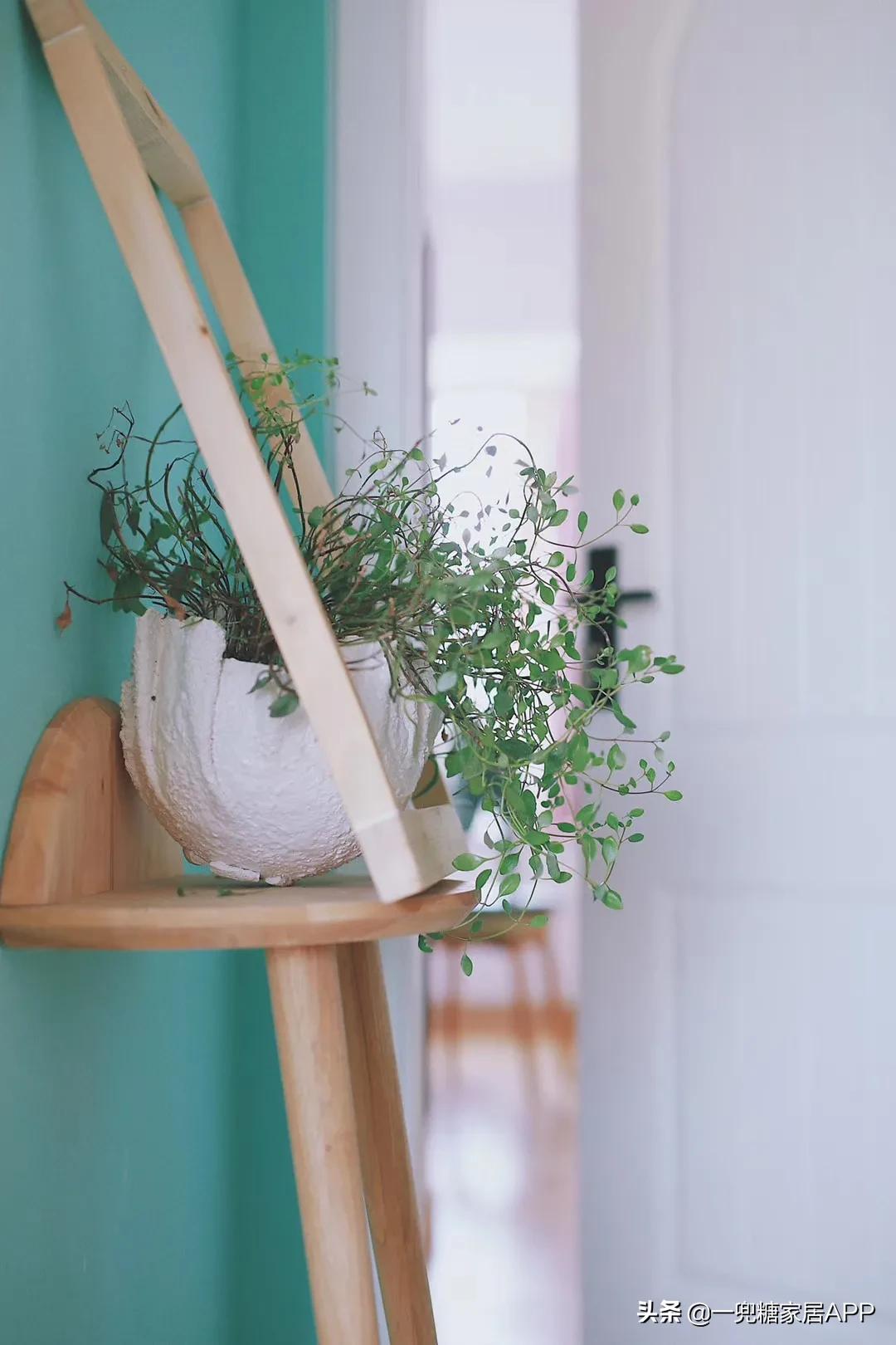 搴熸枡鍙互鍙樺簾涓哄疂,搴熸枡鑳藉仛鍑烘潵濂戒笢瑗垮悧