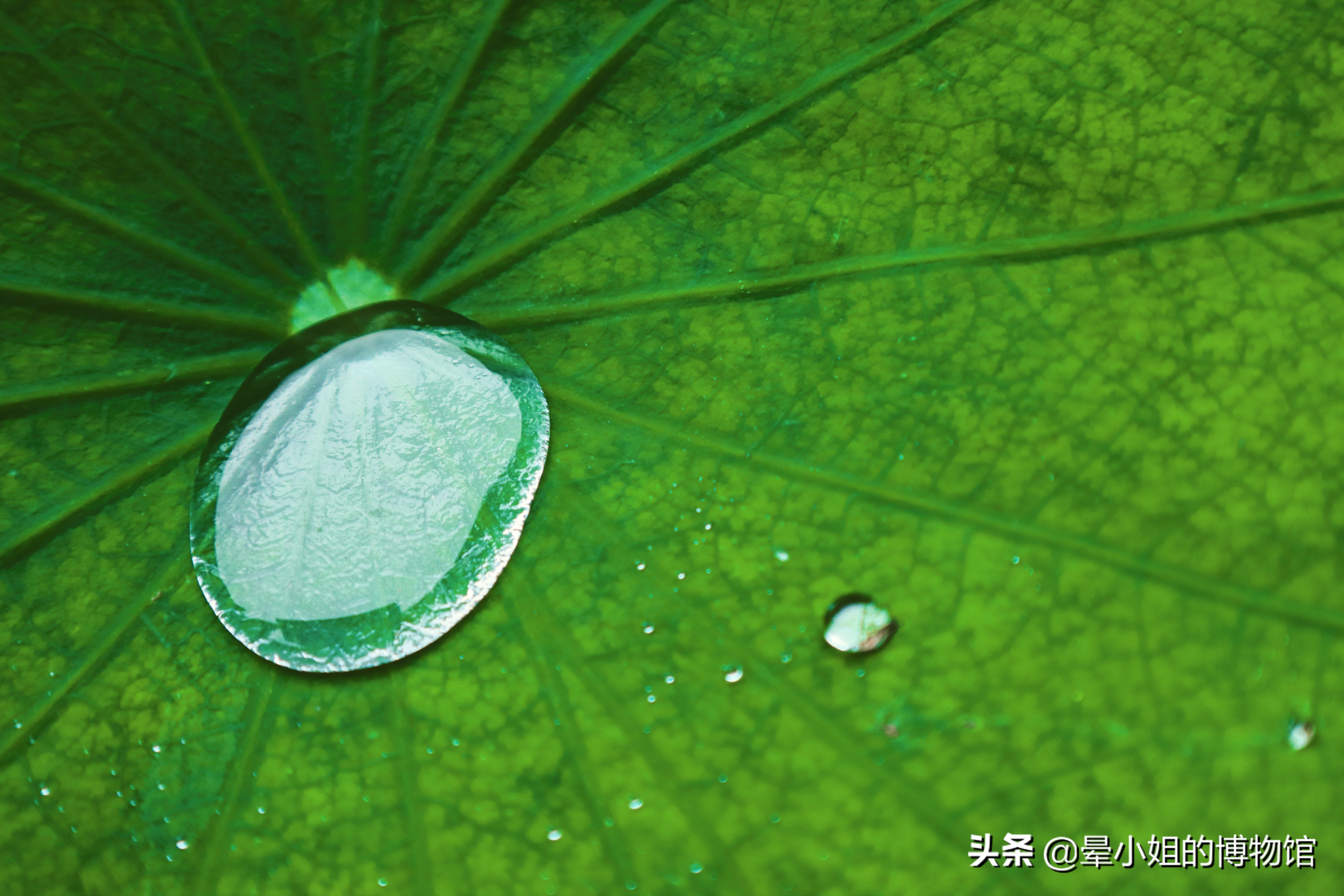 文殊院禅林圣迹,中国四大禅林文殊院