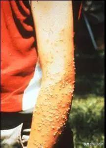 全民国家安全教育日的感受和看法,全民国家安全教育日筑牢国家安全