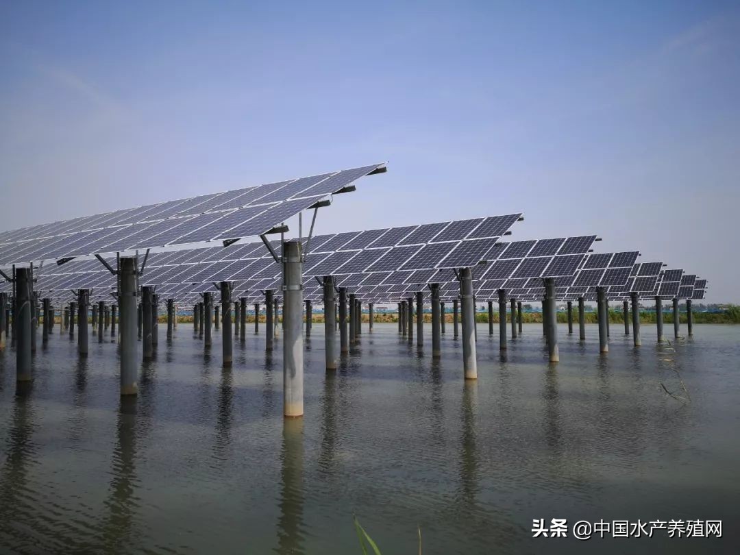 年销售额达5000多万，一手打造多个“百万富翁”，这位上过《致富经》的传奇蟹匠，又把这块土地变废为宝