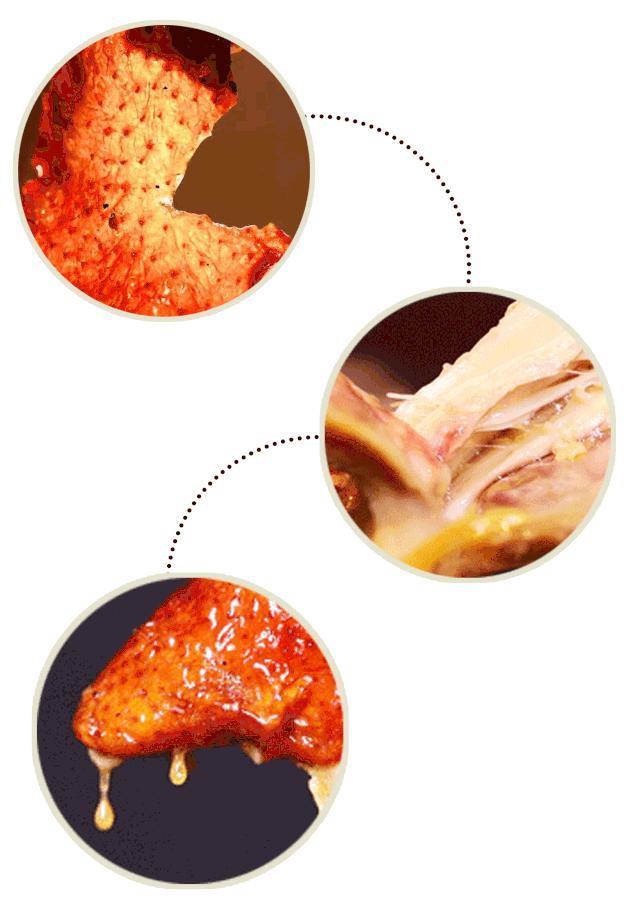 天寒地冻去哪里好玩,芙蓉嶂风景区美食