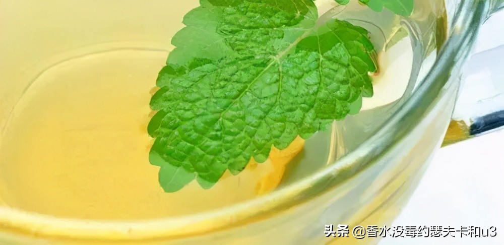 夏日小*香众**水推荐，清爽不易撞向