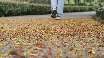 房价8万,逆袭张江?上海外环的唐镇能如愿逆袭吗?