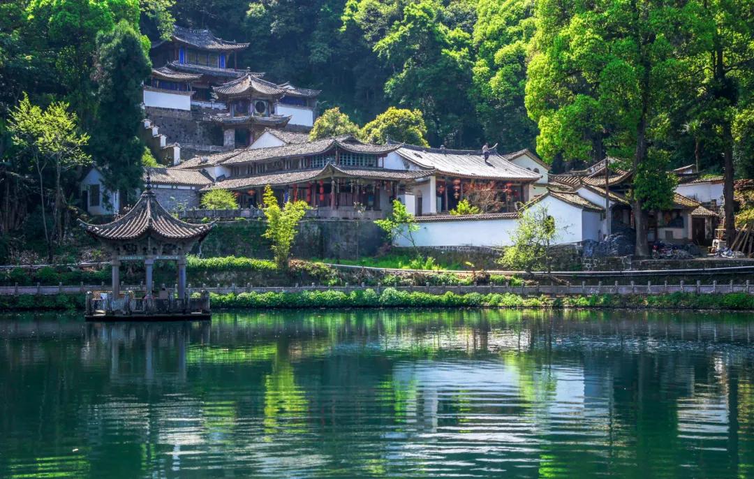 鸟语花香经典诗词,只闻花香不争朝夕诗句