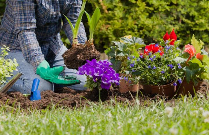 园艺值得学吗,园艺专业与风景园林哪个好