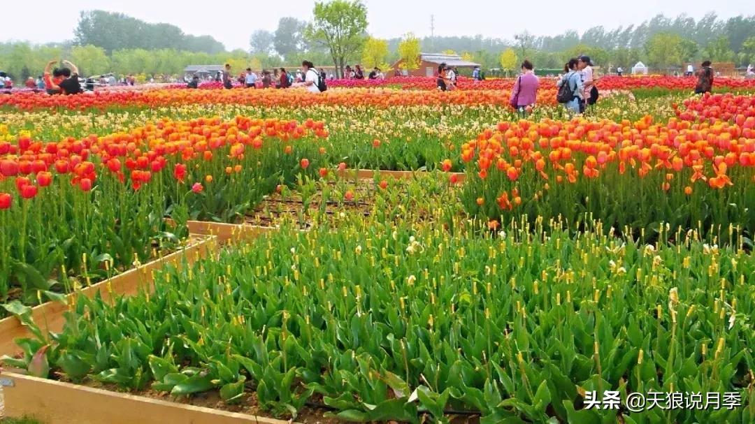 有人去过世园会吗,去过世园会好不好玩