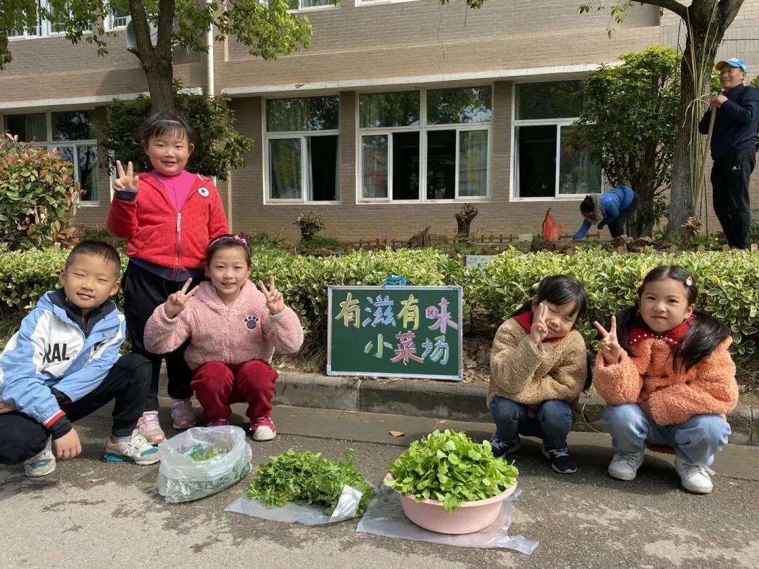 最美的风景美丽的校园,最美的风景就是校园