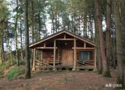 重庆亲子自驾游路线,重庆周边自驾亲子游3-4天最佳路线