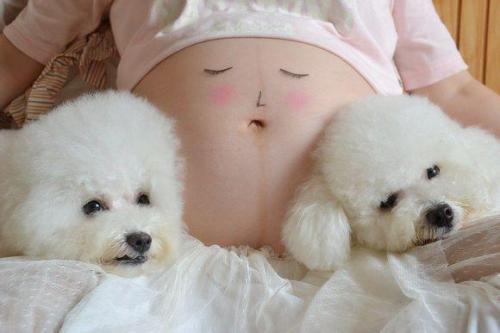 孕期卧室放什么植物好,孕妇长期在密闭房间对胎儿有影响