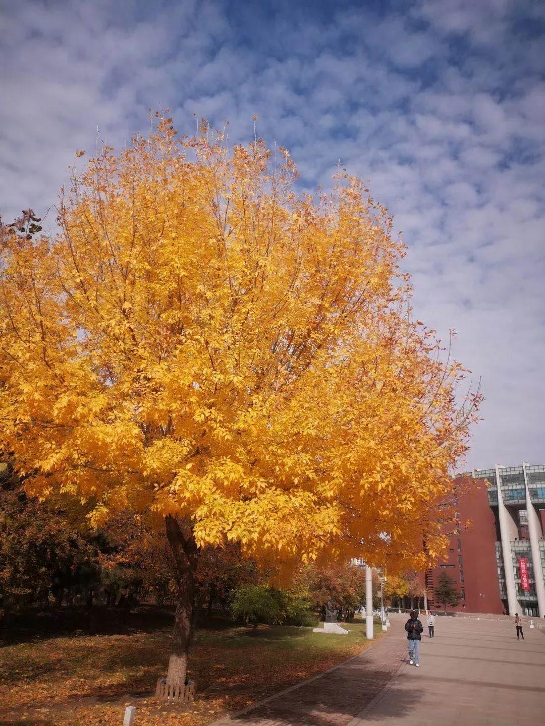 沈阳航空航天大学在辽宁省的地位,辽宁省沈阳航空航天大学在哪个区