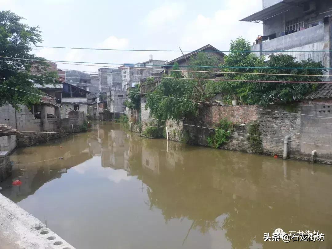 桂平探访古镇老街,桂平石龙老街的历史
