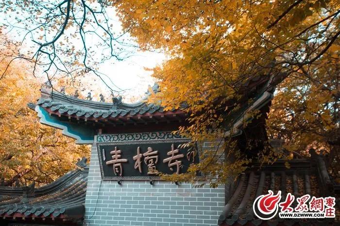 一座来了就不想走的城市泉州,一座来了不想走的城市纪录片