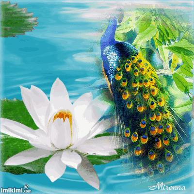 好久没见面了老同学想你了,老同学是我一生的牵挂