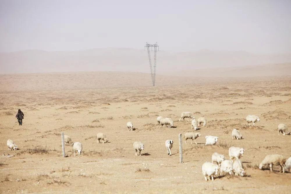 治沙对策和措施,治沙的最好办法