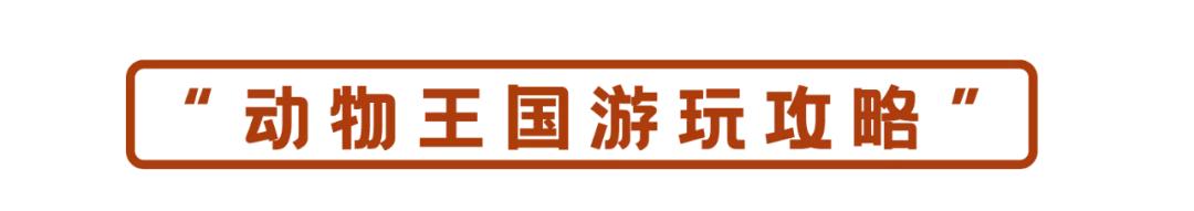 野生动物王国值不值得去,北方新开的动物王国