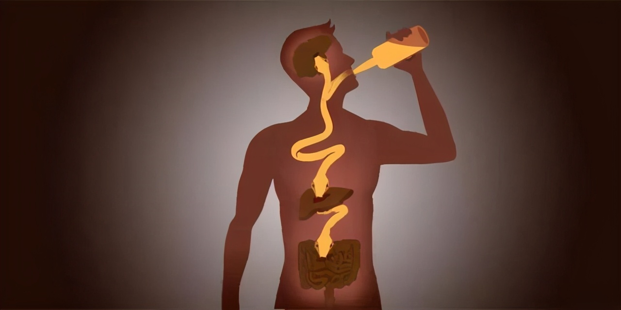 人为什么会酒醉,喝酒预防醉酒的办法