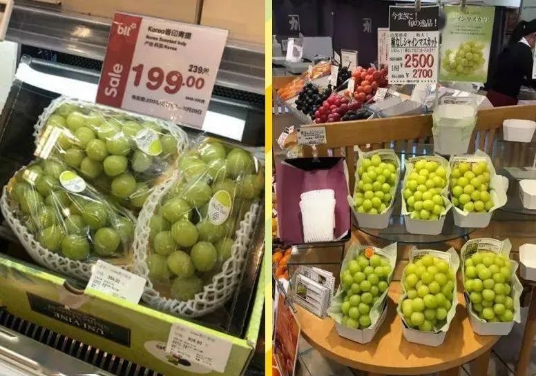 晴王和阳光玫瑰是一个品种吗,日本晴王葡萄和阳光玫瑰的区别